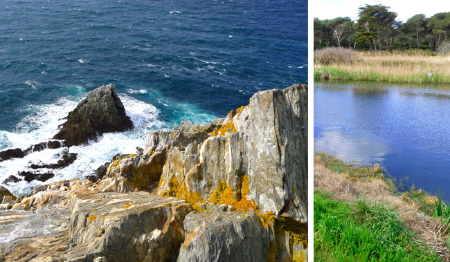 Côte et lagunes à Porquerolles