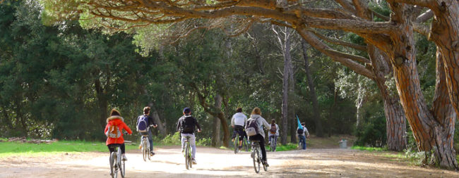 A vélo sur l'île de Porquerolles