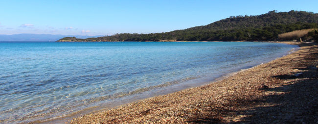 Plage de la Courtade -île de Porquerolles