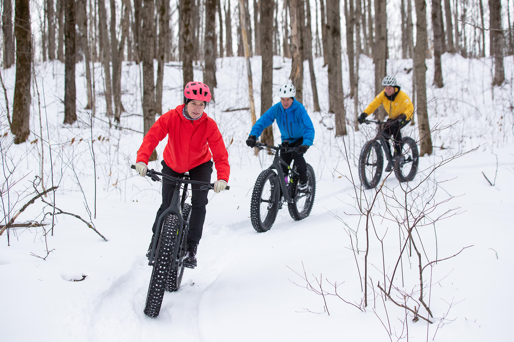 fat bike et séminaire !