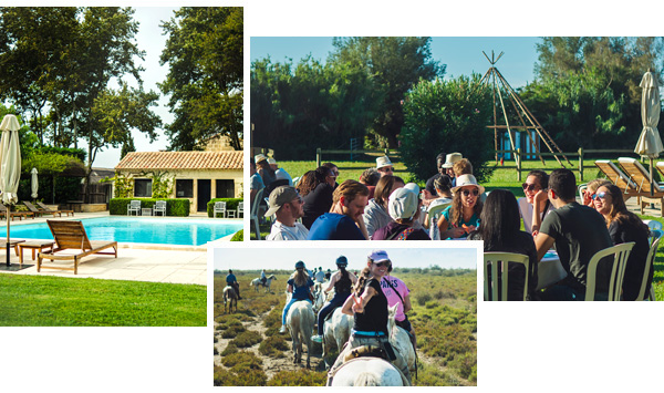 séminaire de cohésion en Camargue