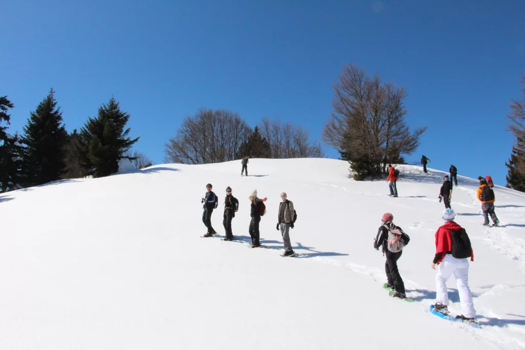 séminaire sur mesure sports d'hiver