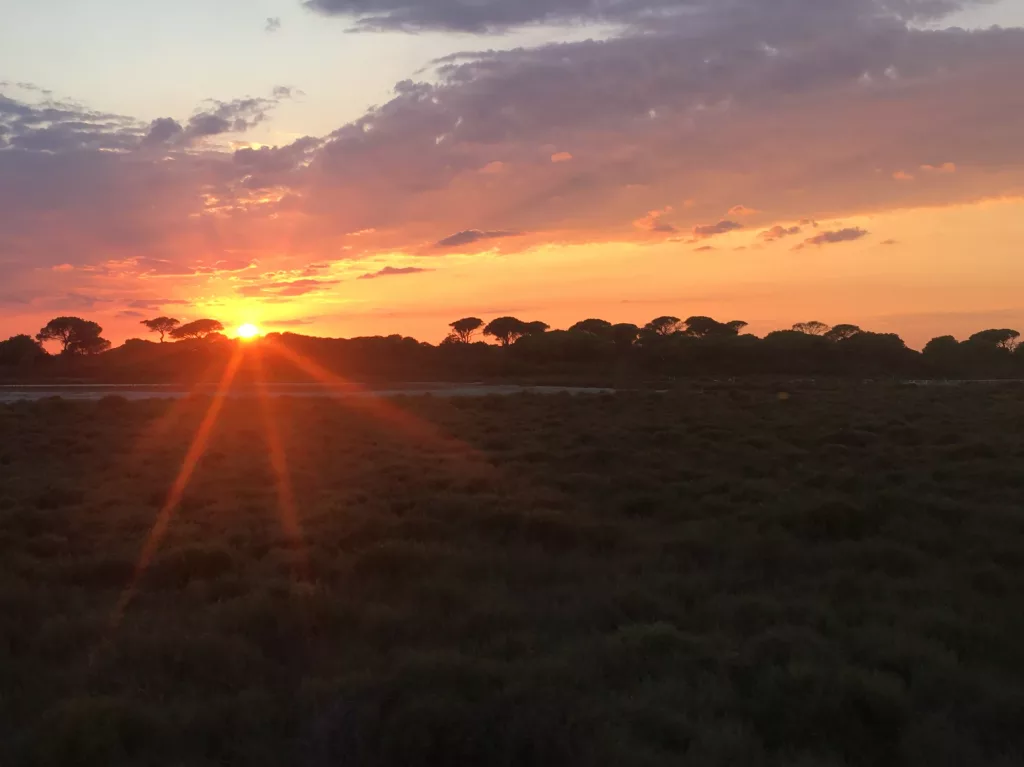 Coucher de soleil Camargue