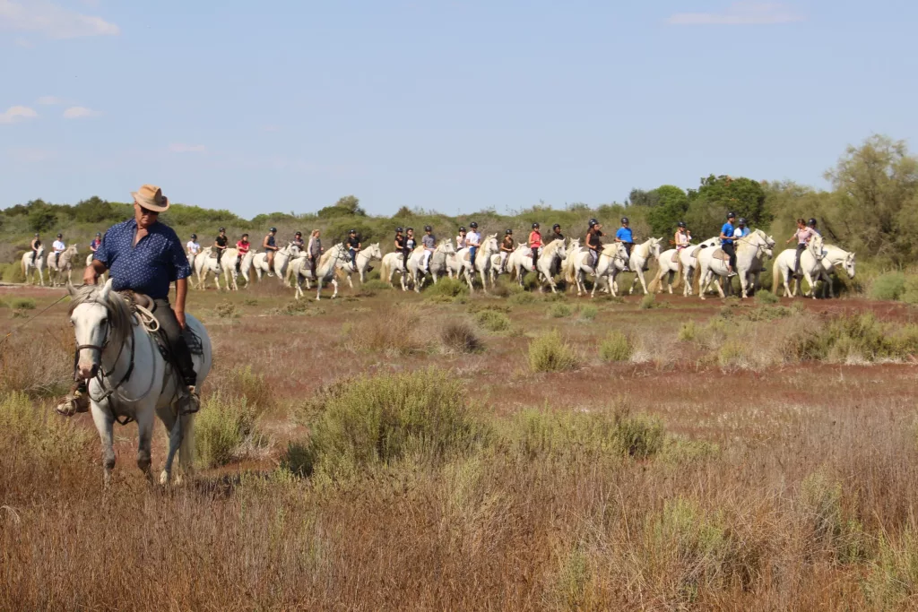 Balade Cheval camargue