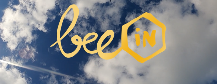 Video seminaires Bee In
