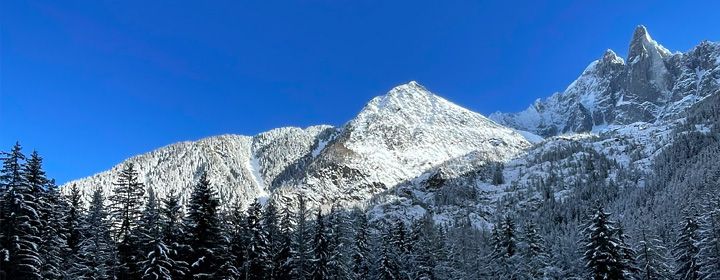 L'Aguille Verte et les Drus
