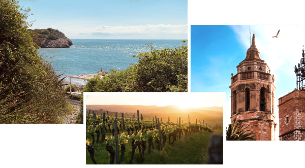 Sitges plage et vignobles