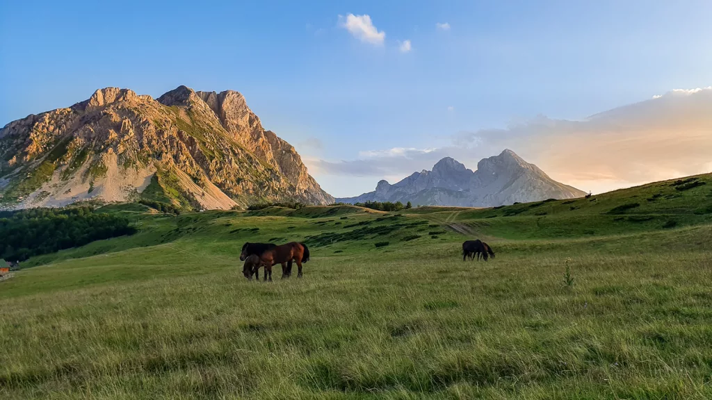 Paysage des montagnes du MontÃ©nÃ©gro